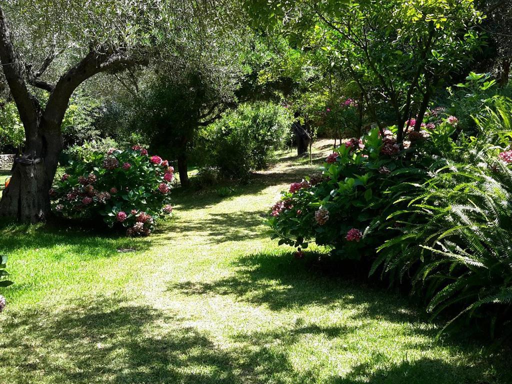 Villa Galini Sivota  Bagian luar foto